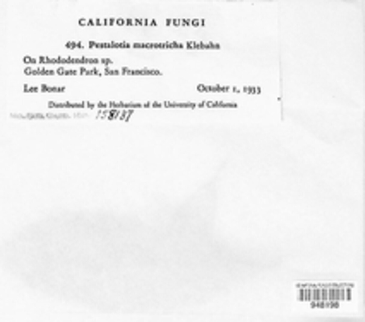 Pestalotiopsis image